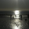 SAMSUNG DIGITAL CAMERA